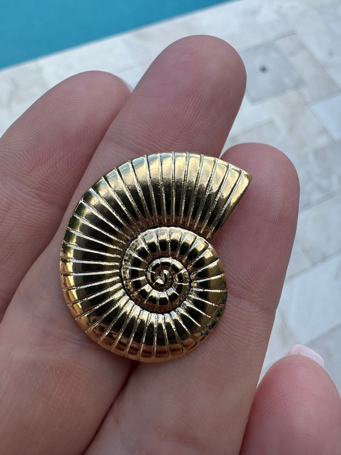 Spiral Shell