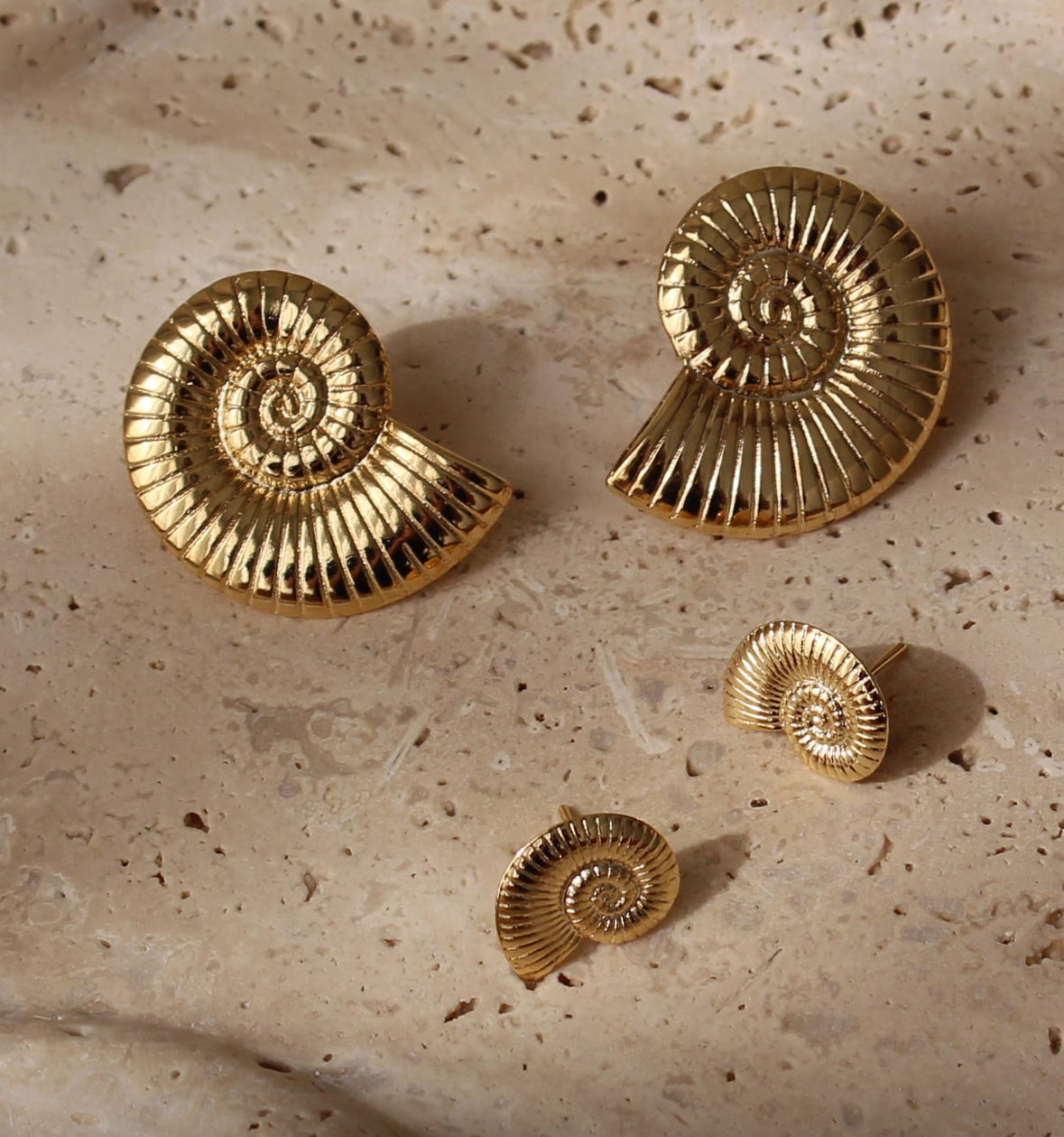 Spiral Shell