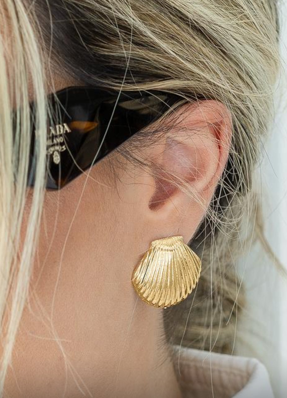 Large Clam Shell Earrings