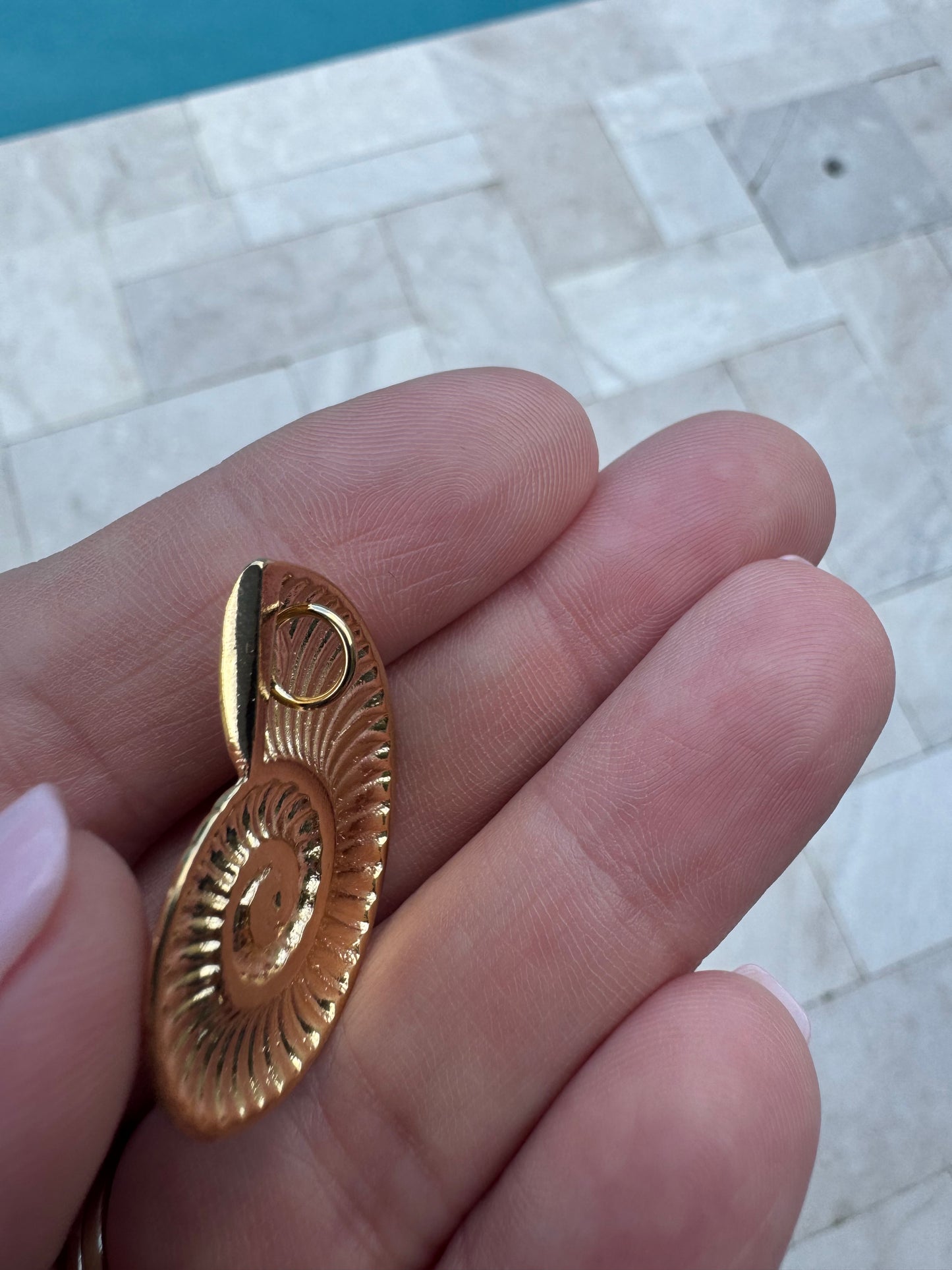 Spiral Shell