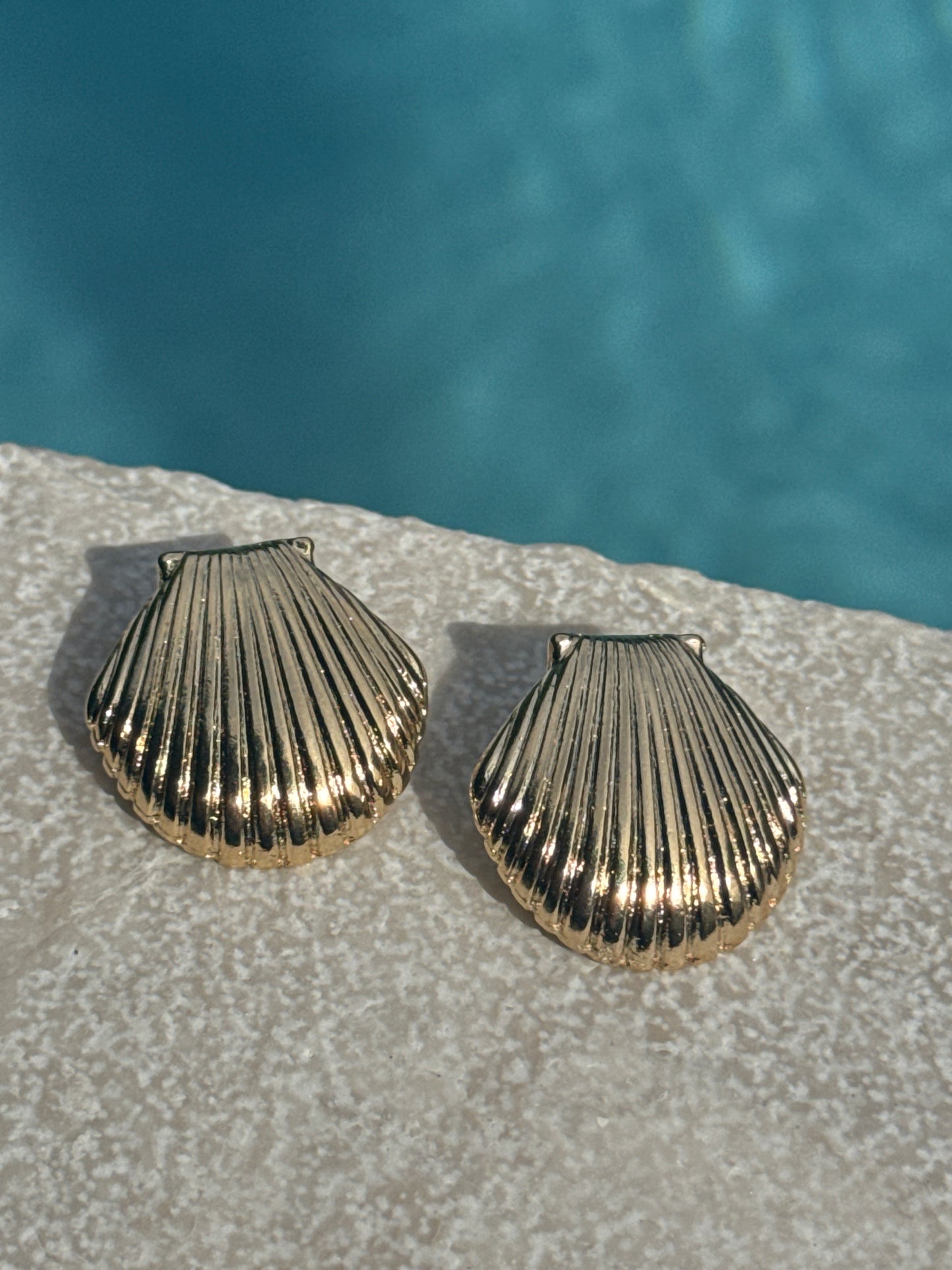 Large Clam Shell Earrings