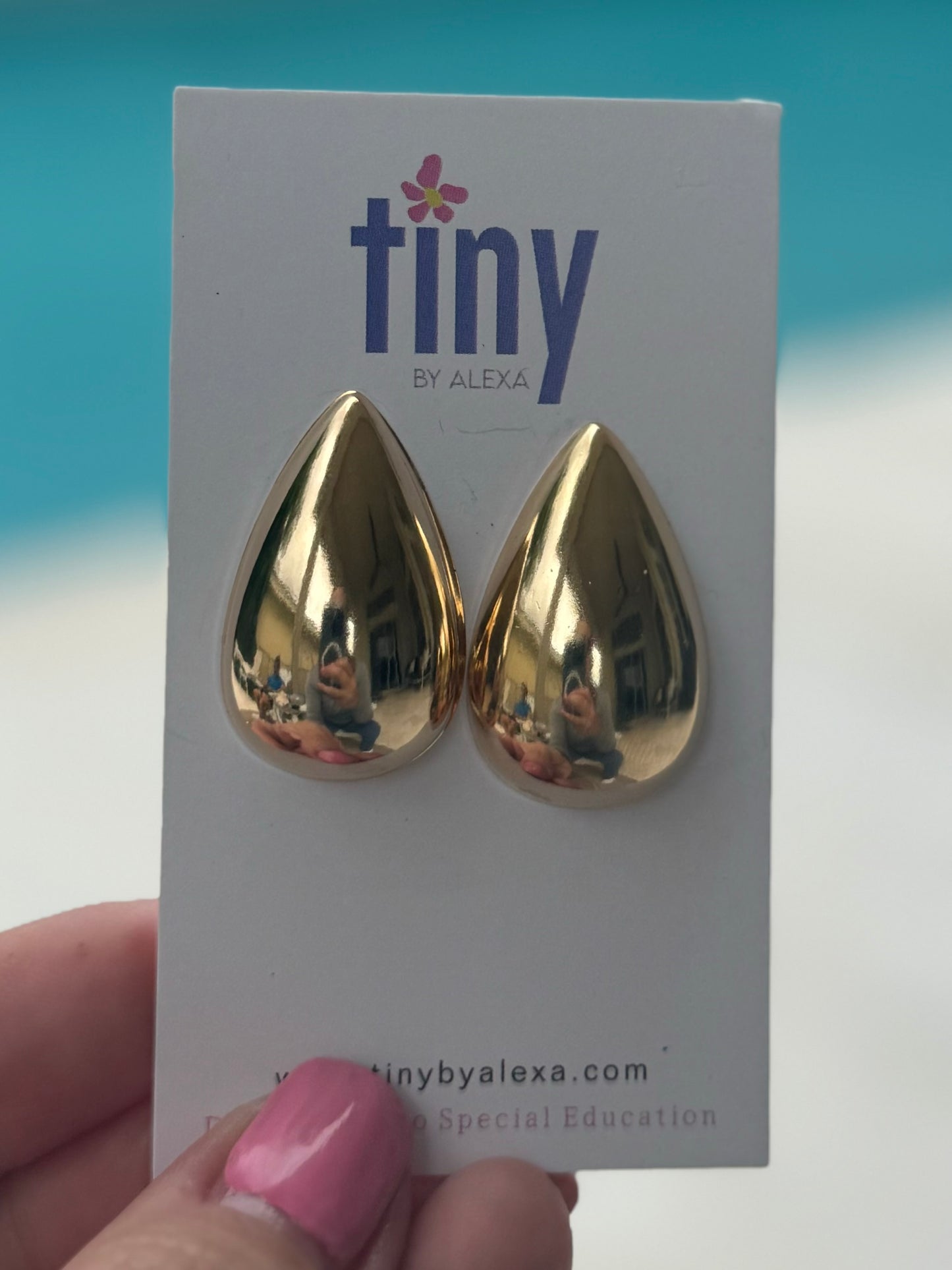 Big Drop Earrings