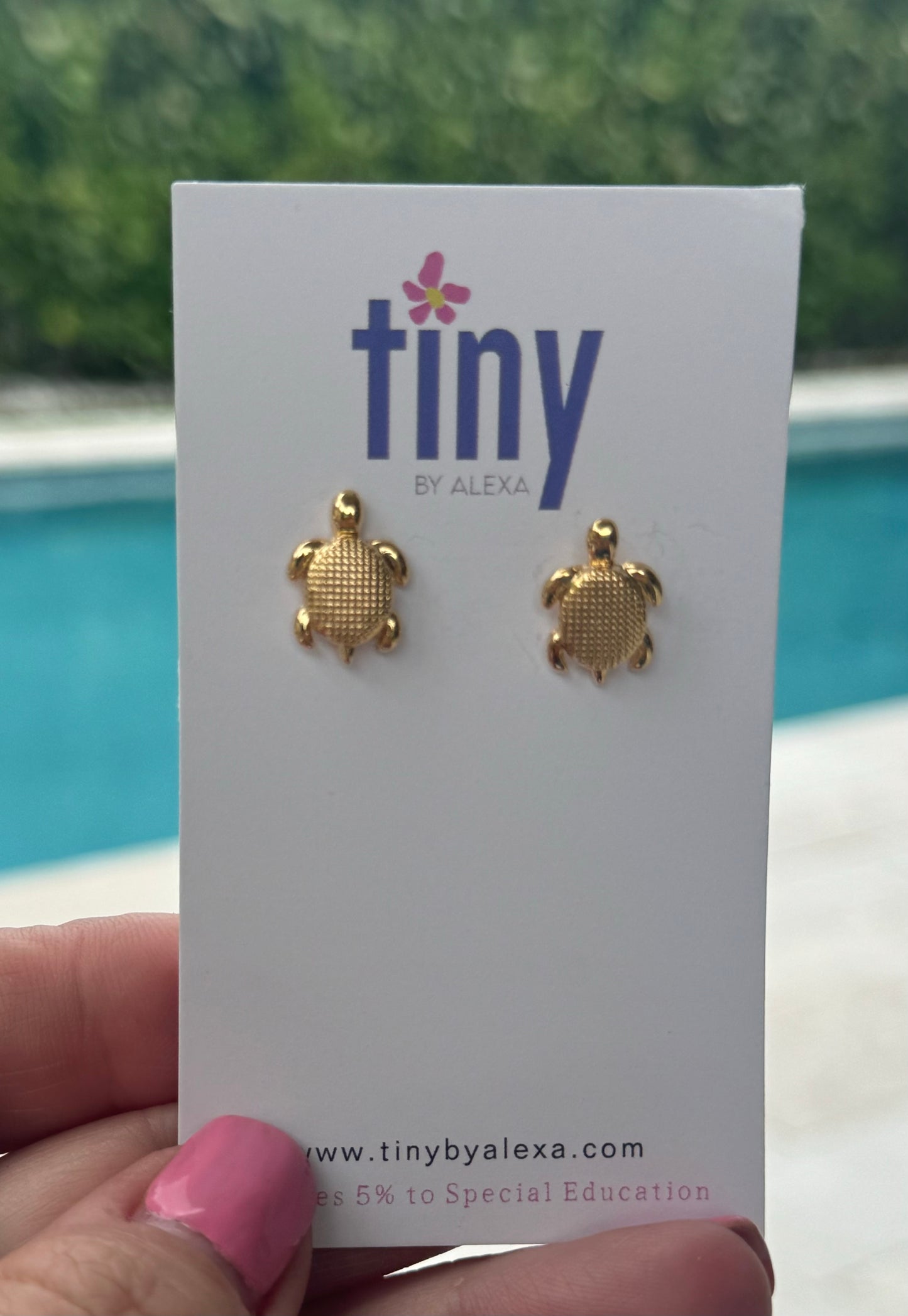 Tiny Turtles Earrings