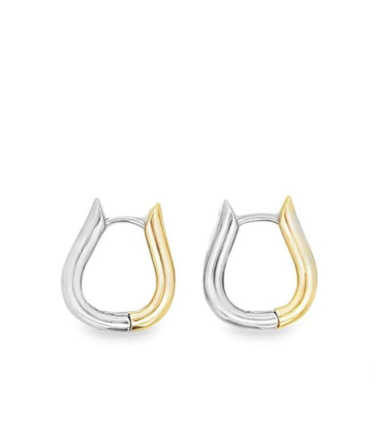 2 Tone Earrings